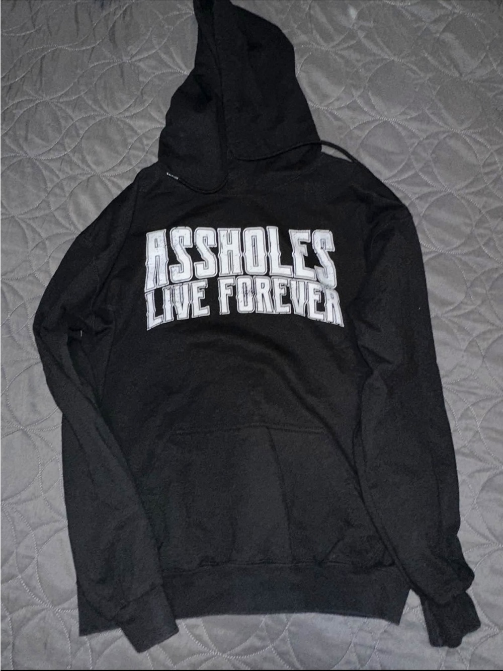 Assholes live forever hoodie